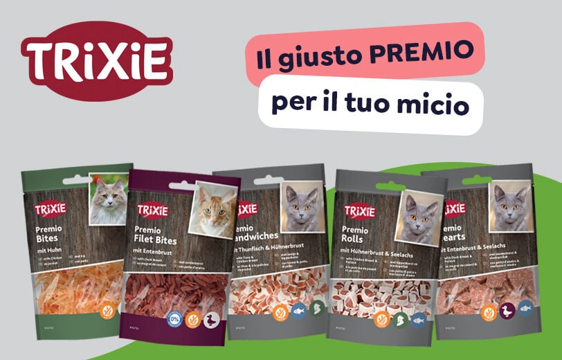 Scopri i prodotti!